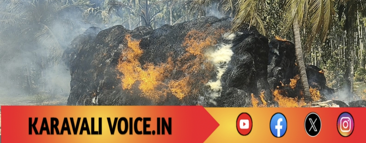 ಒಂದು ಕಿಡಿ, ಲಕ್ಷಾಂತರ ನಷ್ಟ: ಕೆರೆ ಬಳಿಯ ಗದ್ದೆಯಲಿ ಅಗ್ನಿಕಾಂಡ