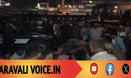 ಹಿಂದೂ ಮನೆಗಳ ಮೇಲೆ ಕಲ್ಲು ತೂರಾಟ; ಅನ್ಯ ಕೋಮಿನ ಆರು ಅಪ್ರಾಪ್ತರ ಬಂಧನ