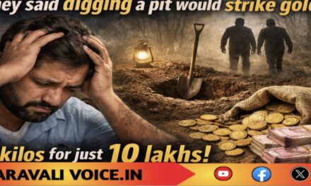 ಗುಂಡಿ ತೋಡಿದ್ರೆ ಬಂಗಾರ ಸಿಗತ್ತಂತೆ.. ಹತ್ತು ಲಕ್ಷಕ್ಕೆ 2 ಕೆಜಿ ಚಿನ್ನ!