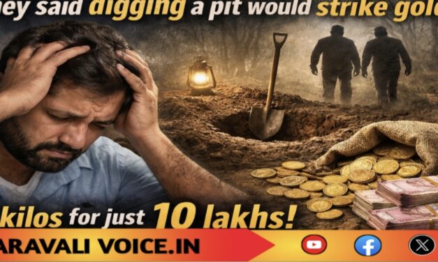 ಗುಂಡಿ ತೋಡಿದ್ರೆ ಬಂಗಾರ ಸಿಗತ್ತಂತೆ.. ಹತ್ತು ಲಕ್ಷಕ್ಕೆ 2 ಕೆಜಿ ಚಿನ್ನ!