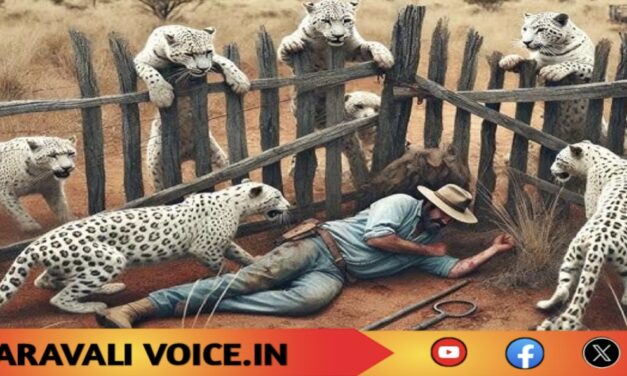 ಗೋಡಂಬಿ ತೋಟದಲ್ಲಿ ನಾಗಪ್ಪನಿಗೆ ಚಿರತೆ ದಾಳಿಗೆ ಯತ್ನ!