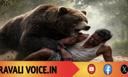 ಗದ್ದೆಗೆ ಹೊರಟ ರೈತನಿಗೆ ಕರಡಿ ಅಟ್ಯಾಕ್!