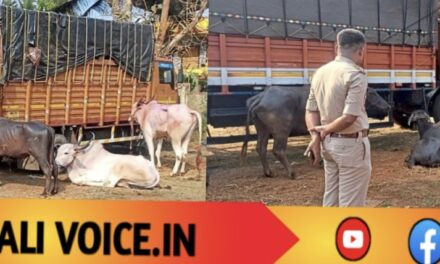 ಲಾರಿಯ ಲೀಲೆಗಳಿಗೆ ಲಾಠಿ ಲಾಕ್! 