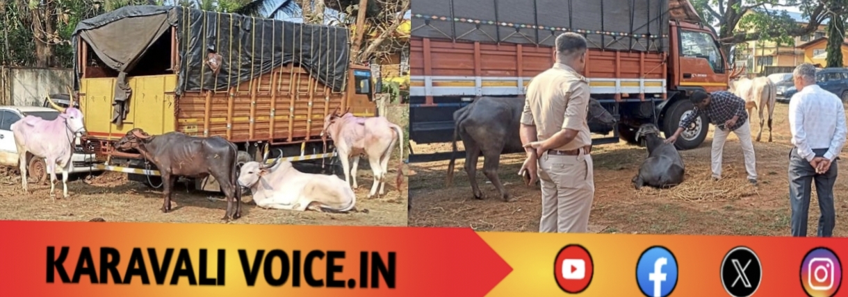 ಲಾರಿಯ ಲೀಲೆಗಳಿಗೆ ಲಾಠಿ ಲಾಕ್! 