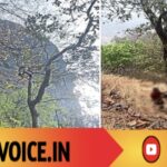 ಗೋಕರ್ಣಕ್ಕೆ ಹೊರಟ ಪಯಣ… ಜೇನುಕಲ್ಲಿನಲ್ಲಿ ಮುಕ್ತಾಯ!