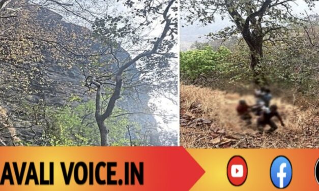 ಗೋಕರ್ಣಕ್ಕೆ ಹೊರಟ ಪಯಣ… ಜೇನುಕಲ್ಲಿನಲ್ಲಿ ಮುಕ್ತಾಯ!