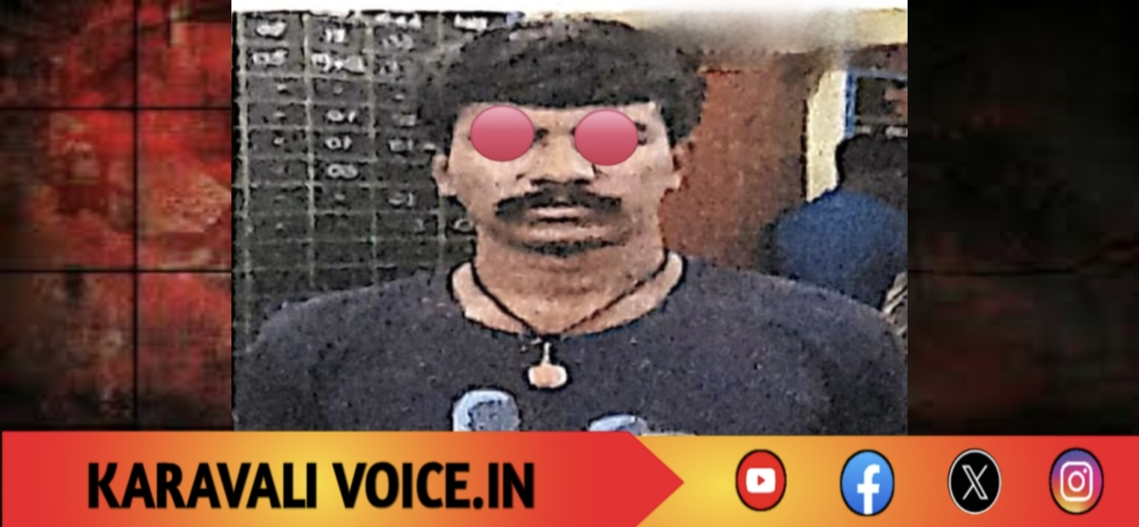 ಪೊಲೀಸರ ಮೇಲೆ ಹಲ್ಲೆ ಮಾಡಿದವನೇ… ಕೊನೆಗೆ ಪೊಲೀಸರ ಕೈಗೆ!