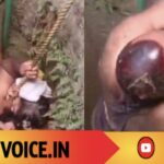 ಮನೆಯ ಹಿಂಬದಿಯ ಬಾವಿಗೆ ಬಿದ್ದ 2 ವರ್ಷದ ಬಾಲೆ! 