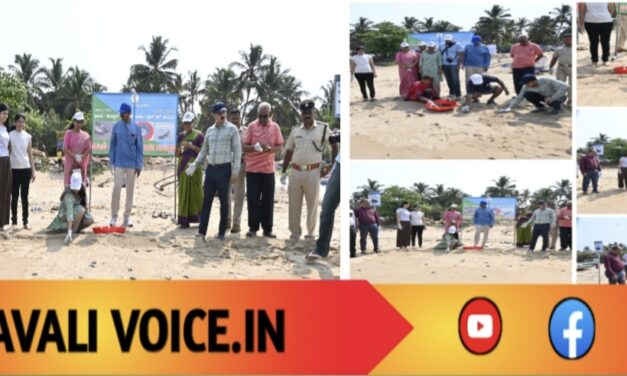 163 ಕಡಲಾಮೆ ಮರಿಗಳು ಸಮುದ್ರಕ್ಕೆ ಗ್ರ್ಯಾಂಡ್ ರಿಲೀಸ್!