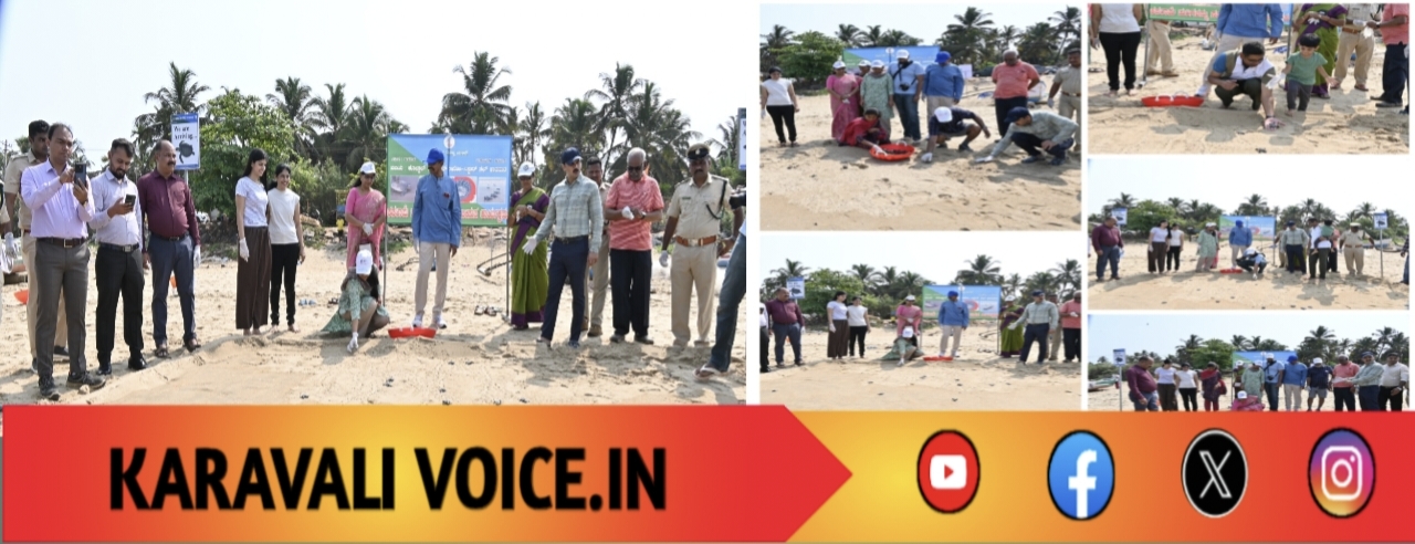 163 ಕಡಲಾಮೆ ಮರಿಗಳು ಸಮುದ್ರಕ್ಕೆ ಗ್ರ್ಯಾಂಡ್ ರಿಲೀಸ್!