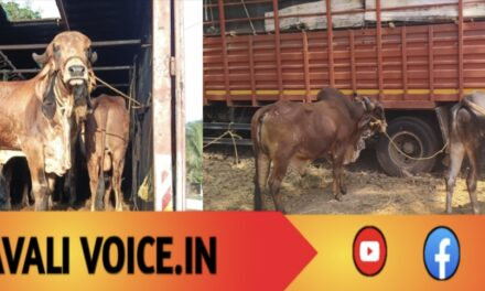 ಹುಲ್ಲು ಕೊಡಲಿಲ್ಲ, ನೀರು ಕೊಡಲಿಲ್ಲ… ಈಗ ಜೈಲು ಊಟ ಸಿಗಲಿ!