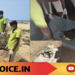 ಕಾರವಾರದಲ್ಲಿ ಅಪರೂಪದ ಜೀವಿಯ ಕಳೆಬರ ಪತ್ತೆ