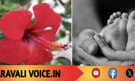 ಒಣಗಿದ ದಾಸವಾಳ ನುಂಗಿ 6 ತಿಂಗಳ ಮಗು ಸಾವು