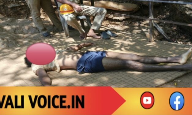 ವಿಭೂತಿ ಜಲಪಾತದಲ್ಲಿ ದುರಂತ: ಯುವಕ ನೀರಿನಲ್ಲಿ ಮುಳುಗಿ ಸಾವು