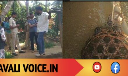 ಬಾವಿ ಇಣುಕಿ ನೋಡಿದರೆ ಕಂಡಿದ್ದು ನೀರಲ್ಲ… ಚಿರತೆ!