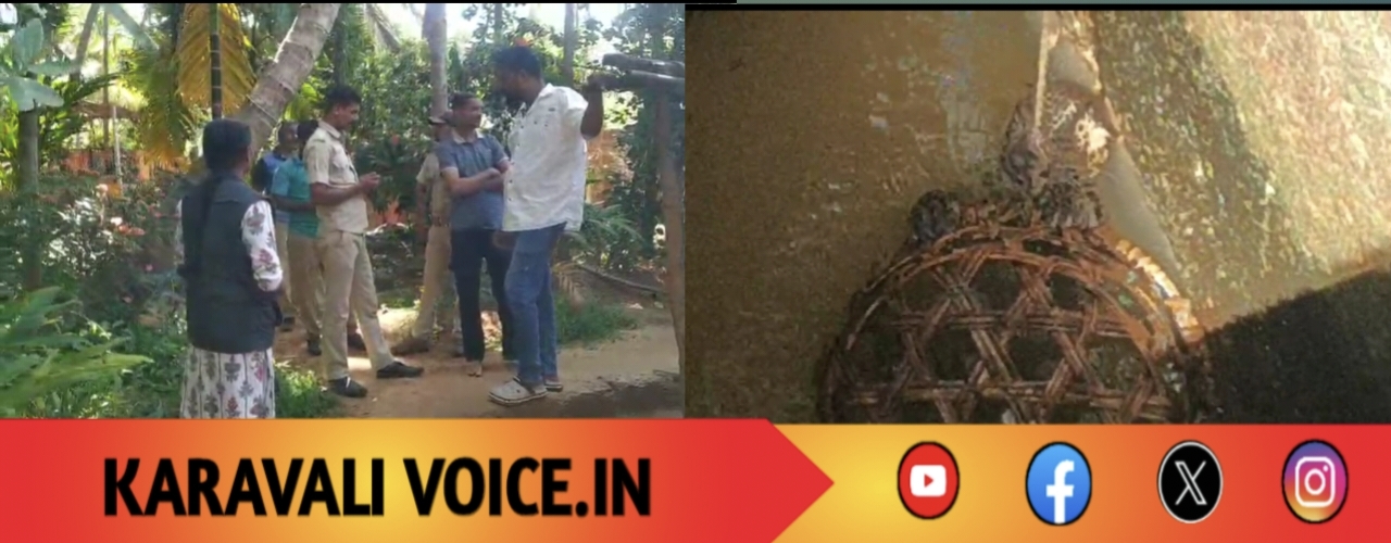 ಬಾವಿ ಇಣುಕಿ ನೋಡಿದರೆ ಕಂಡಿದ್ದು ನೀರಲ್ಲ… ಚಿರತೆ!