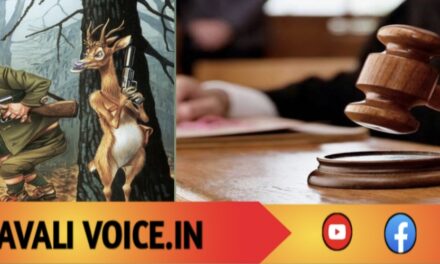 ಬೇಟೆಯ ಮಜಾ ಮುಗಿದಿತು… ದಂಡದ ಖಾತೆ ಶುರುವಾಯಿತು!