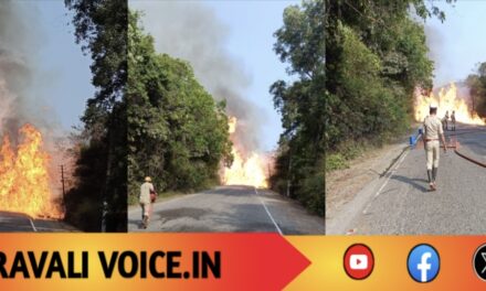 ಹೆದ್ದಾರಿಯಲ್ಲಿ ಧಗಧಗ ಹೊತ್ತಿ ಉರಿದ ಟ್ಯಾಂಕರ್.. ಚಾಲಕ ಎಲ್ಲಿದ್ದಾರೆ?