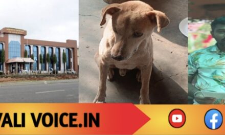 ಬೀದಿ ನಾಯಿಗೆ ಊಟ ಹಾಕಿದ ತಪ್ಪಿಗೆ ಜಿಲ್ಲಾಧಿಕಾರಿ ಮೊರೆ ಹೋದ ವ್ಯಕ್ತಿ!
