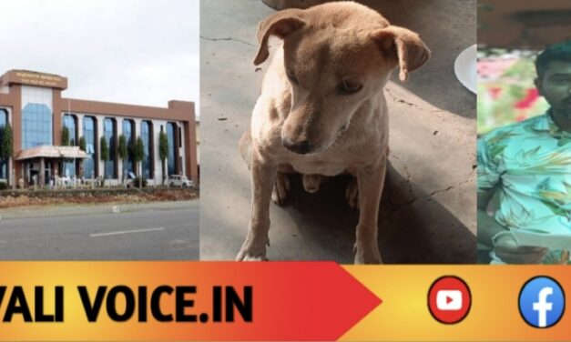 ಬೀದಿ ನಾಯಿಗೆ ಊಟ ಹಾಕಿದ ತಪ್ಪಿಗೆ ಜಿಲ್ಲಾಧಿಕಾರಿ ಮೊರೆ ಹೋದ ವ್ಯಕ್ತಿ!