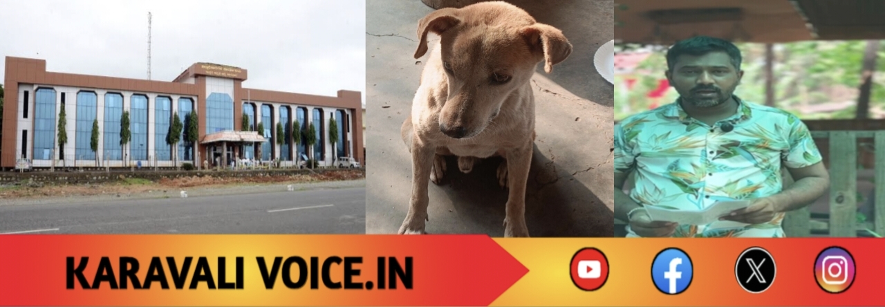 ಬೀದಿ ನಾಯಿಗೆ ಊಟ ಹಾಕಿದ ತಪ್ಪಿಗೆ ಜಿಲ್ಲಾಧಿಕಾರಿ ಮೊರೆ ಹೋದ ವ್ಯಕ್ತಿ!
