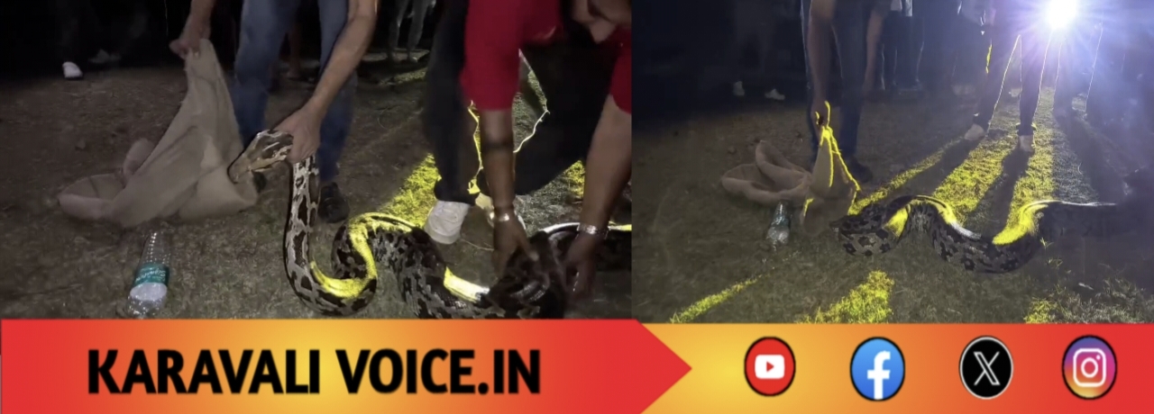 ಮೈದಾನದಲ್ಲಿ ಆಟಗಾರರ ಬದಲು… ರಾತ್ರಿವೇಳೆ ಪ್ರತ್ಯಕ್ಷವಾದ ಬೃಹತ್ ಹೆಬ್ಬಾವು!