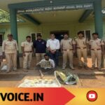 ಕಾಡುಕೋಣಕ್ಕೆ ಬಲೆ ಹಾಕಿದವರು… ತಾವೇ ಬಲೆಗೆ ಸಿಕ್ಕರು!