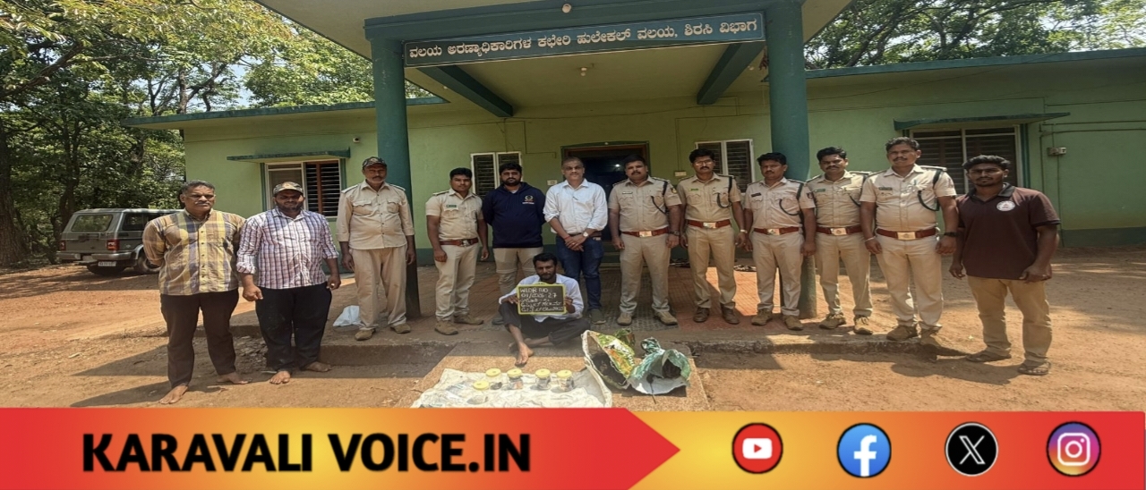 ಕಾಡುಕೋಣಕ್ಕೆ ಬಲೆ ಹಾಕಿದವರು… ತಾವೇ ಬಲೆಗೆ ಸಿಕ್ಕರು!