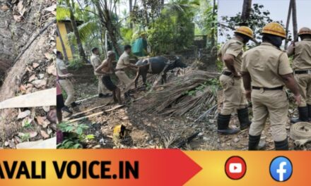 ಬಾವಿಯಲ್ಲಿ ಪ್ರತಿಬಿಂಬ ನೋಡಿ ‘ಜಿಗಿದ’ ಎಮ್ಮೆ!