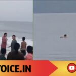 ಕ್ರಿಕೇಟ್ ಆಡುತ್ತಿದ್ದ ಯುವಕರು ಕ್ಷಣಾರ್ಧದಲ್ಲಿ ಜೀವ ರಕ್ಷಕರು!