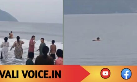 ಕ್ರಿಕೇಟ್ ಆಡುತ್ತಿದ್ದ ಯುವಕರು ಕ್ಷಣಾರ್ಧದಲ್ಲಿ ಜೀವ ರಕ್ಷಕರು!