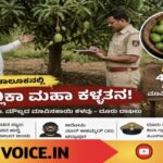 ಮಲ್ಲಿಕಾ ಮಾವಿನ ‘ರಹಸ್ಯ’: ಕಿತ್ತು ತಿಂದ್ರೆ ಜೈಲಾ? ವೈರಲ್ ಆಯ್ತು ಕೇಸ್!