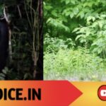 ಪ್ರಧಾನಿ ಬಳಿ ಕರಡಿ ಎಂಟ್ರಿ..! ಮೊಬೈಲ್‌ನಲ್ಲಿ ಸೆರೆಯಾದ ದೃಶ್ಯ