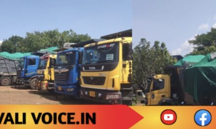 ನಿಯಮ ಮೀರಿ ಕಲ್ಲು ಸಾಗಾಟ : 17 ಲಾರಿಗಳ ಸೀಜ್! 