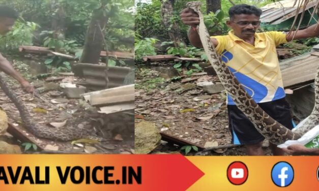 ಎರಡು ಕೋಳಿ ನುಂಗಿ ಗೂಡಲ್ಲೇ ರಿಲ್ಯಾಕ್ಸ್ ಆದ ಅನಾಹುತ ಅತಿಥಿ..!