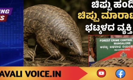 ಚಿಪ್ಪು ಹಂದಿಯ ಚಿಪ್ಪು ಮಾರಾಟ ಯತ್ನ: ಭಟ್ಕಳದ ವ್ಯಕ್ತಿ ಬಂಧನ