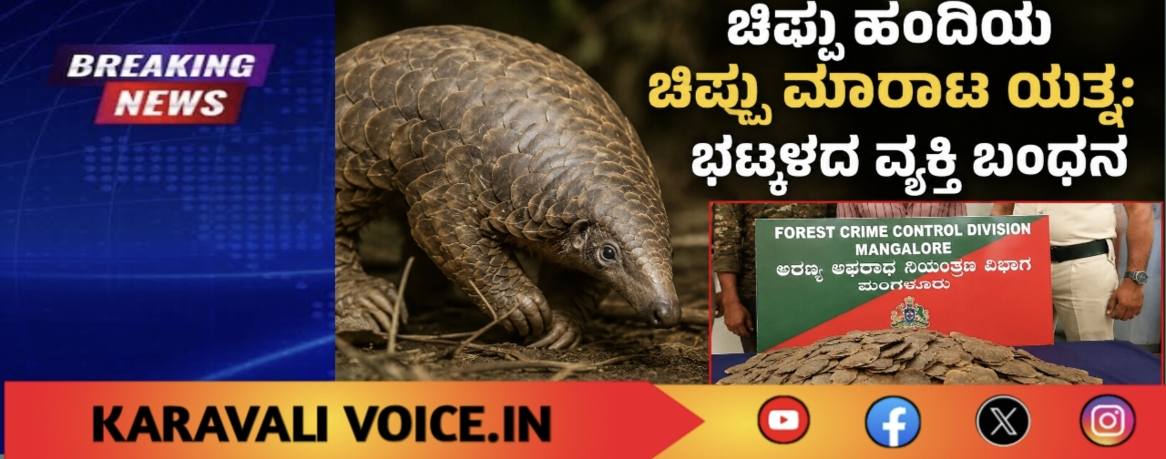 ಚಿಪ್ಪು ಹಂದಿಯ ಚಿಪ್ಪು ಮಾರಾಟ ಯತ್ನ: ಭಟ್ಕಳದ ವ್ಯಕ್ತಿ ಬಂಧನ