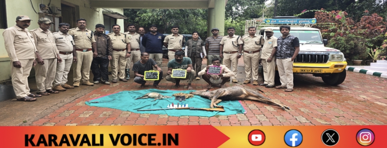 ಕಾಡು ಪ್ರಾಣಿಗೆ ಗುಂಡು, ಬೇಟೆಗಾರರಿಗೆ ಕೇಸ್!