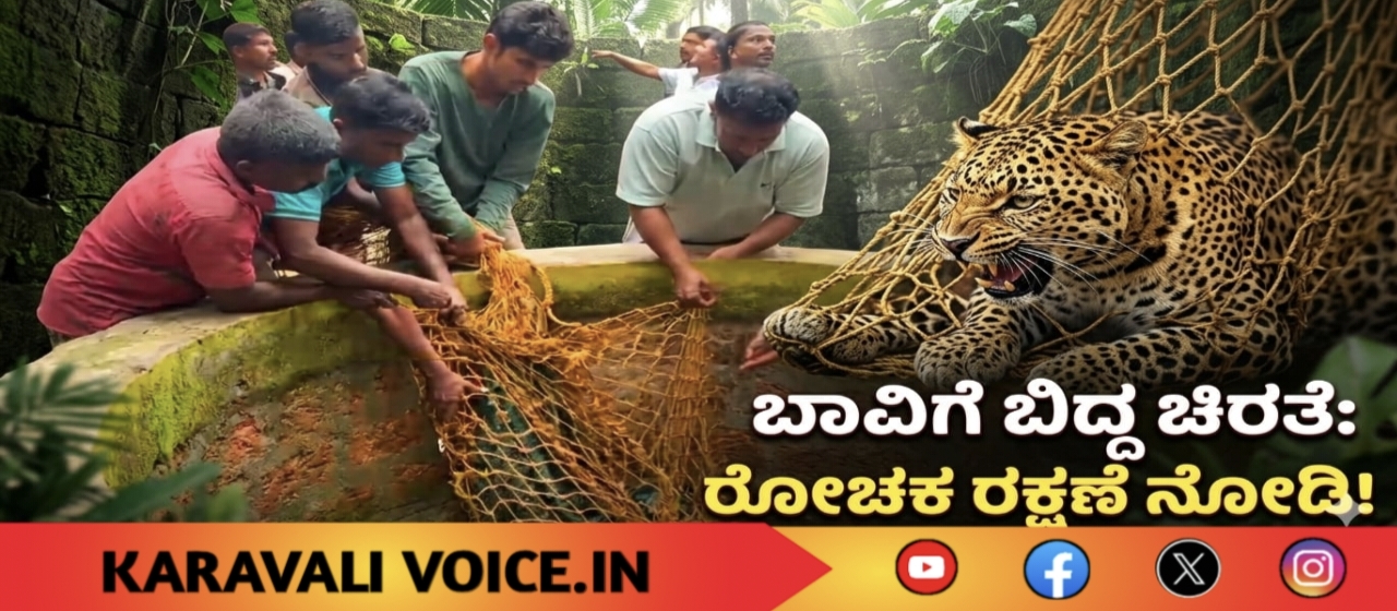 ವಿಡಿಯೋ ನೋಡಿ: ಬಾವಿಗೆ ಬಿದ್ದ ಚಿರತೆಯ ರೋಚಕ ರಕ್ಷಣೆ!