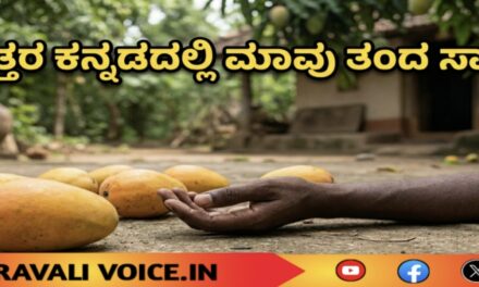ಉತ್ತರ ಕನ್ನಡದಲ್ಲಿ ಮಾವು ತಂದ ಸಾವು! 