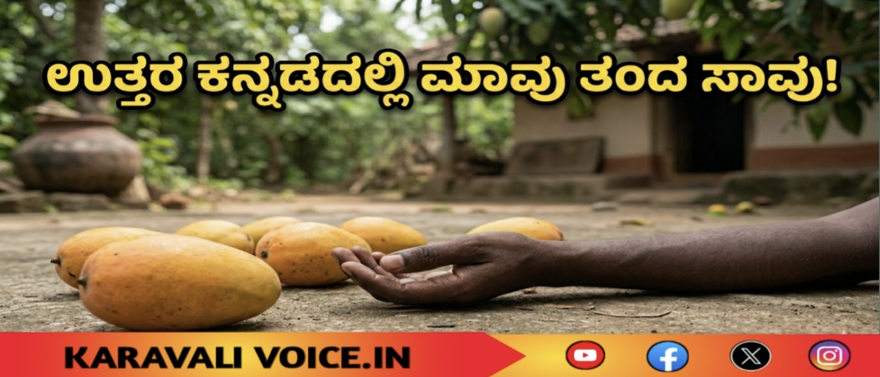 ಉತ್ತರ ಕನ್ನಡದಲ್ಲಿ ಮಾವು ತಂದ ಸಾವು! 
