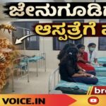 ಜೇನುಗೂಡಿಗೆ ಕಲ್ಲು… ಆಸ್ಪತ್ರೆಗೆ ಮಕ್ಕಳು!
