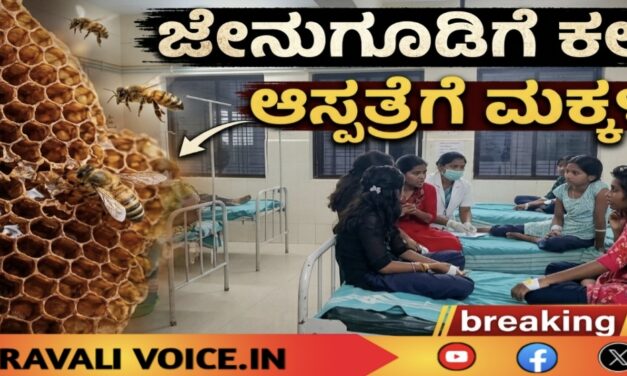 ಜೇನುಗೂಡಿಗೆ ಕಲ್ಲು… ಆಸ್ಪತ್ರೆಗೆ ಮಕ್ಕಳು!