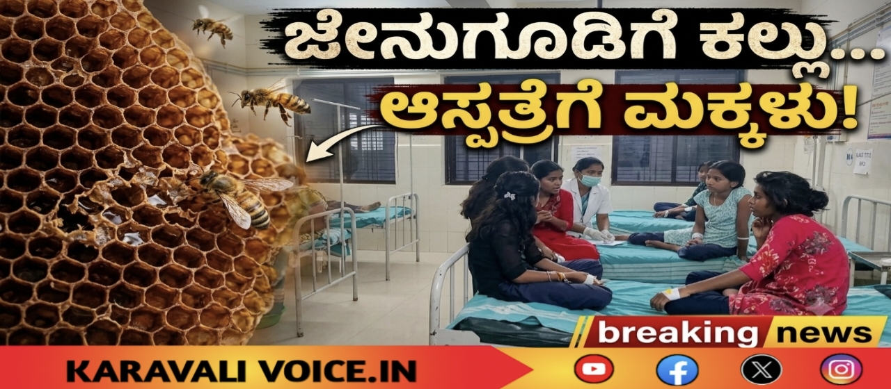 ಜೇನುಗೂಡಿಗೆ ಕಲ್ಲು… ಆಸ್ಪತ್ರೆಗೆ ಮಕ್ಕಳು!