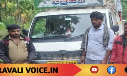 ಕರುಗಳಿಗೆ ಕಾಟ, ವಾಹನಕ್ಕೆ ಕಂಟಕ!