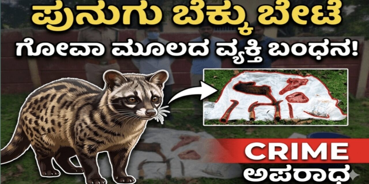 ಪುನುಗು ಬೆಕ್ಕು ಬೇಟೆ: ಗೋವಾ ಮೂಲದ ವ್ಯಕ್ತಿ ಬಂಧನ