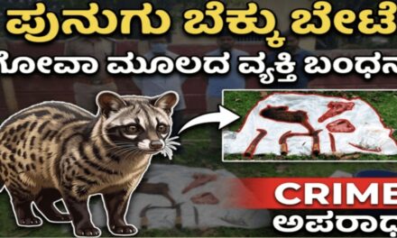 ಪುನುಗು ಬೆಕ್ಕು ಬೇಟೆ: ಗೋವಾ ಮೂಲದ ವ್ಯಕ್ತಿ ಬಂಧನ
