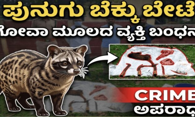 ಪುನುಗು ಬೆಕ್ಕು ಬೇಟೆ: ಗೋವಾ ಮೂಲದ ವ್ಯಕ್ತಿ ಬಂಧನ