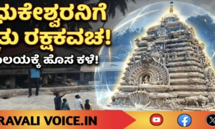 ಮಧುಕೇಶ್ವರನಿಗೆ ಸಿಕ್ಕಿತು ರಕ್ಷಾಕವಚ!