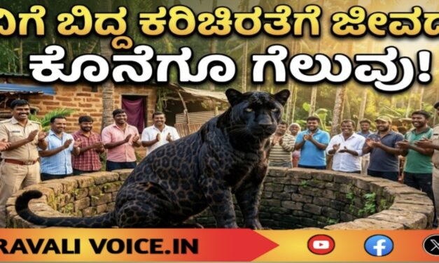 ಬಾವಿಗೆ ಬಿದ್ದ ಕರಿಚಿರತೆಗೆ ಜೀವದಾನ! ವಿಡಿಯೋ ನೋಡಿ